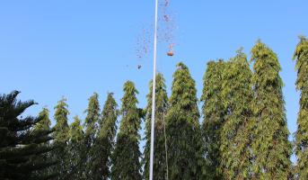 Republic Day on 26 January, 2023-1