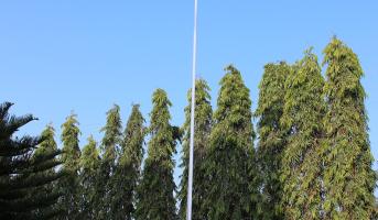 Republic Day on 26 January, 2023-2